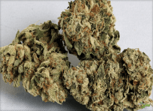 captain crunch weed strain