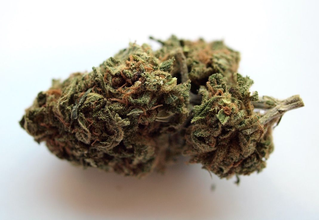 pink-cookies-strain-weed-marijuana-cannabis-review-cannascore